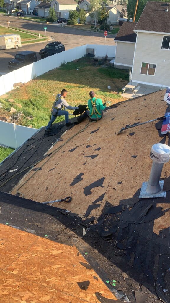 Should You Repair or Replace Your Current Roof?